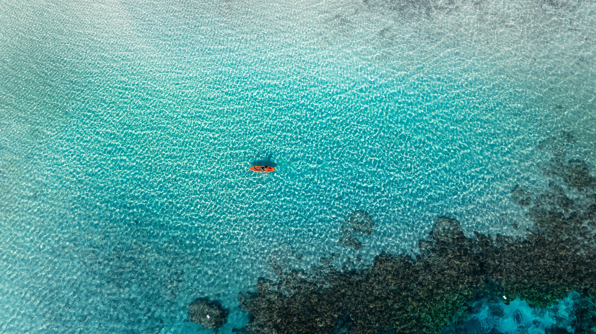 Clear water — photograph by Ahmed Wahba.