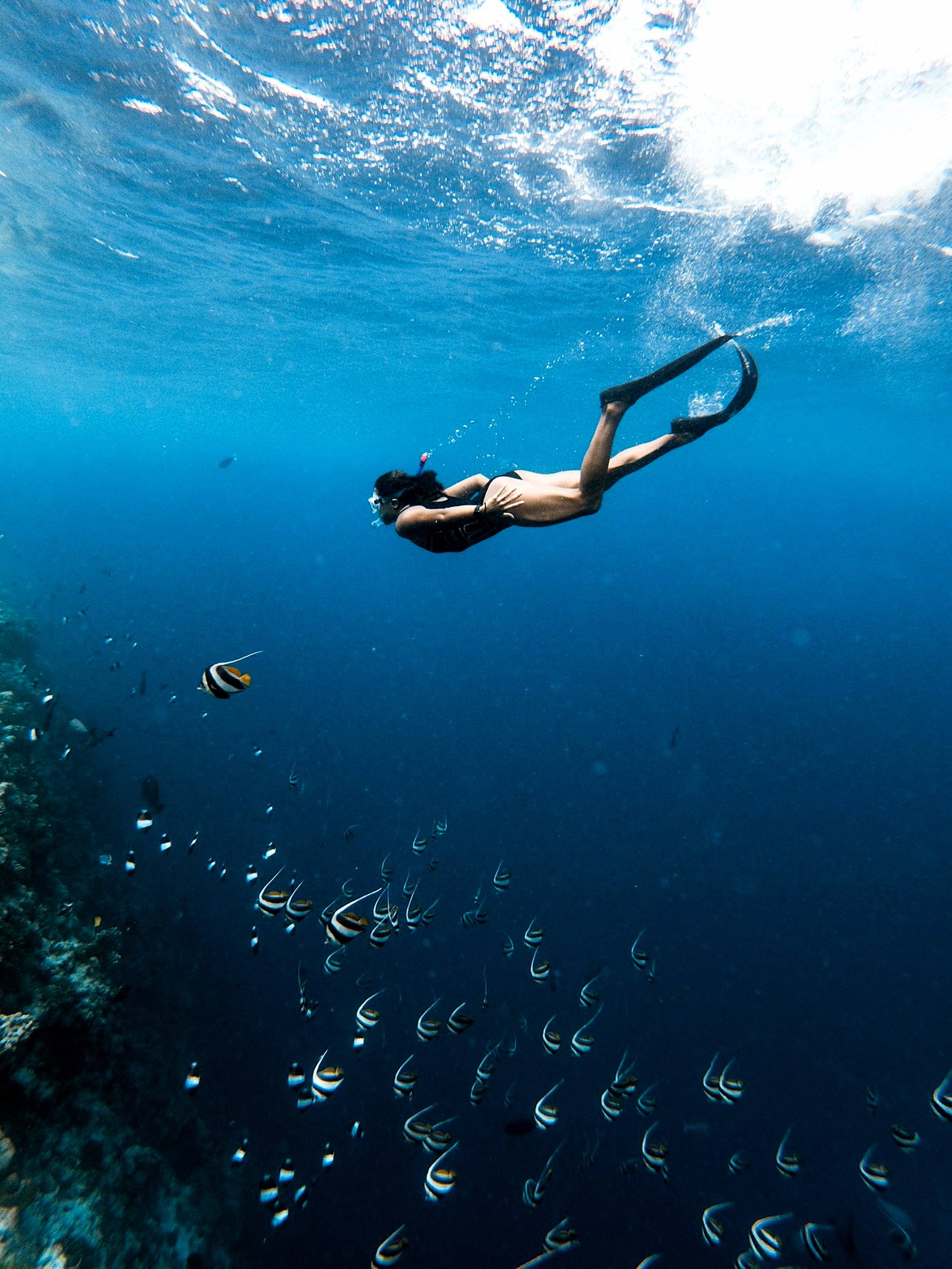 Into the blue
