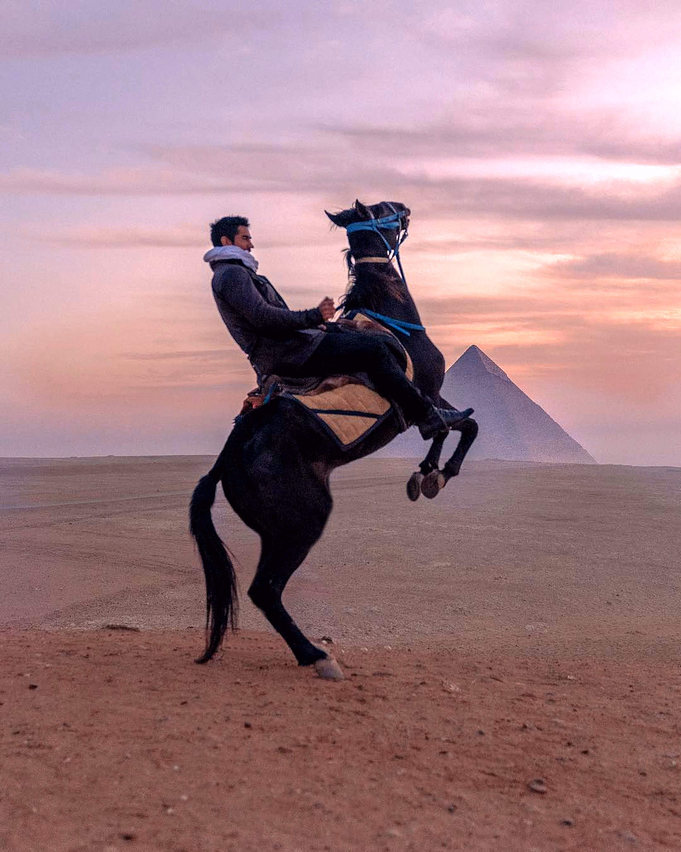 A rider on a rearing horse near the pyramids.