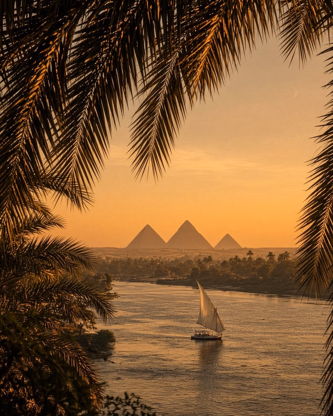 River & pyramids — photograph by Ahmed Wahba.