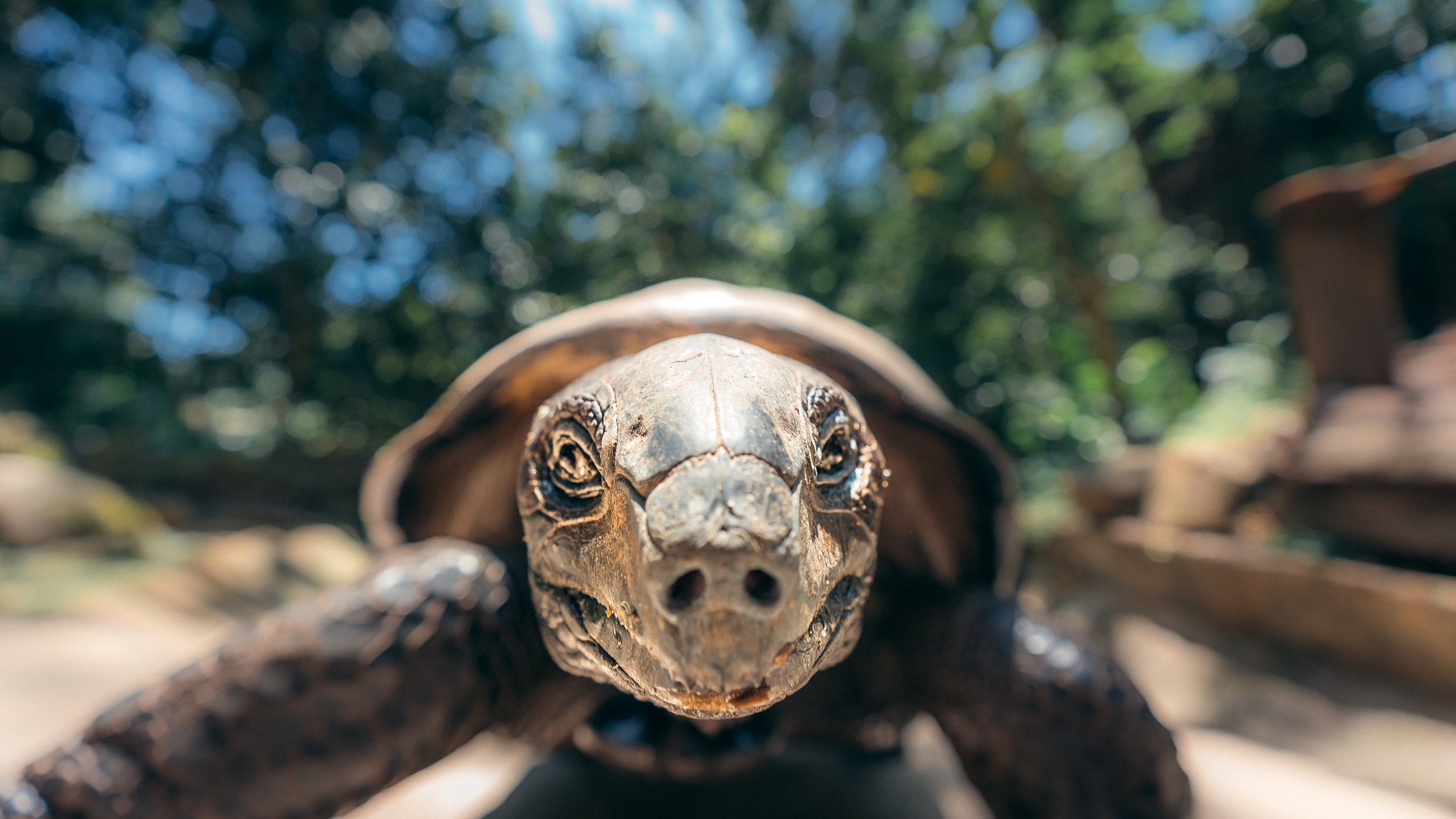 A closer look — photograph by Ahmed Wahba.