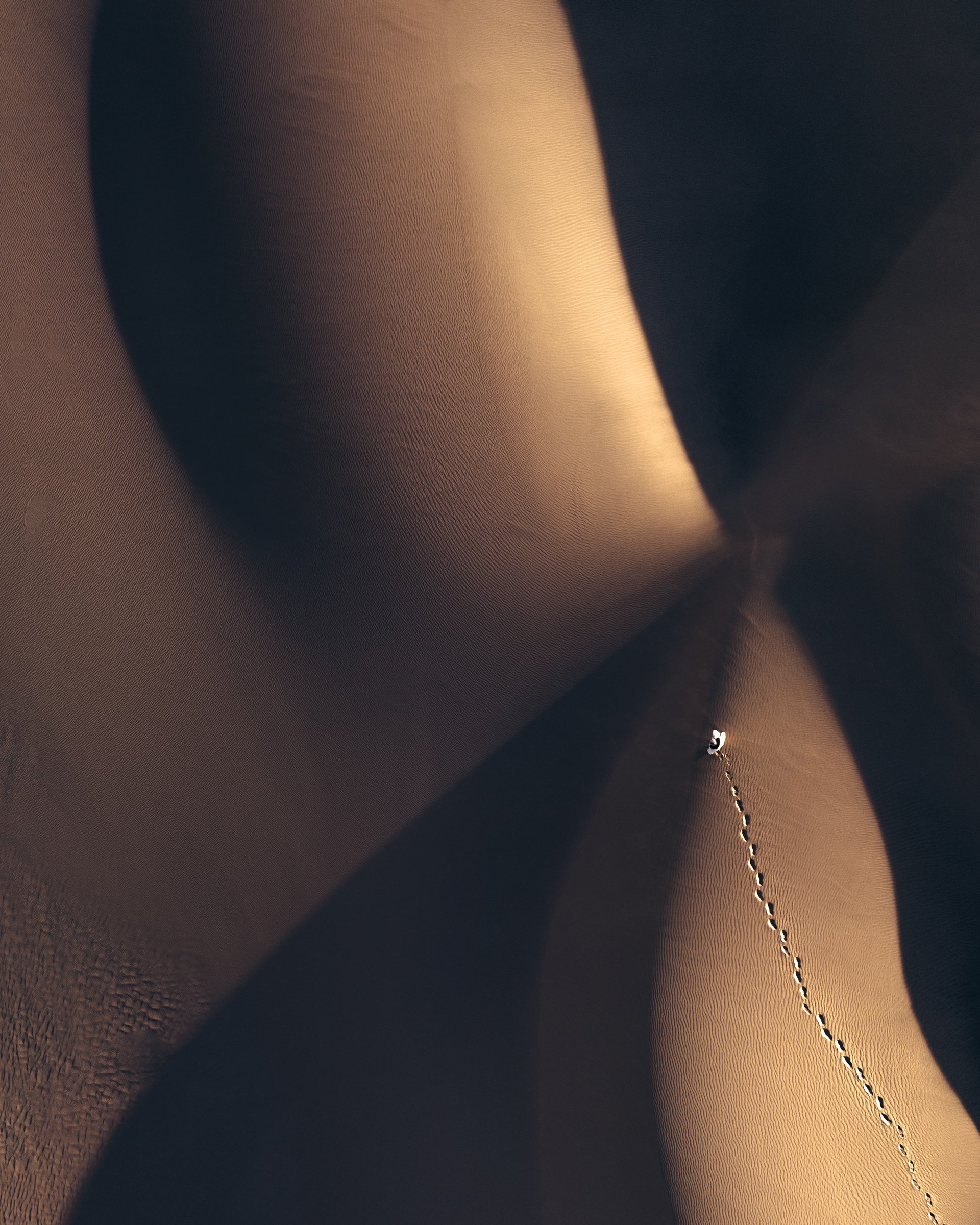 Desert curves — photograph by Ahmed Wahba.