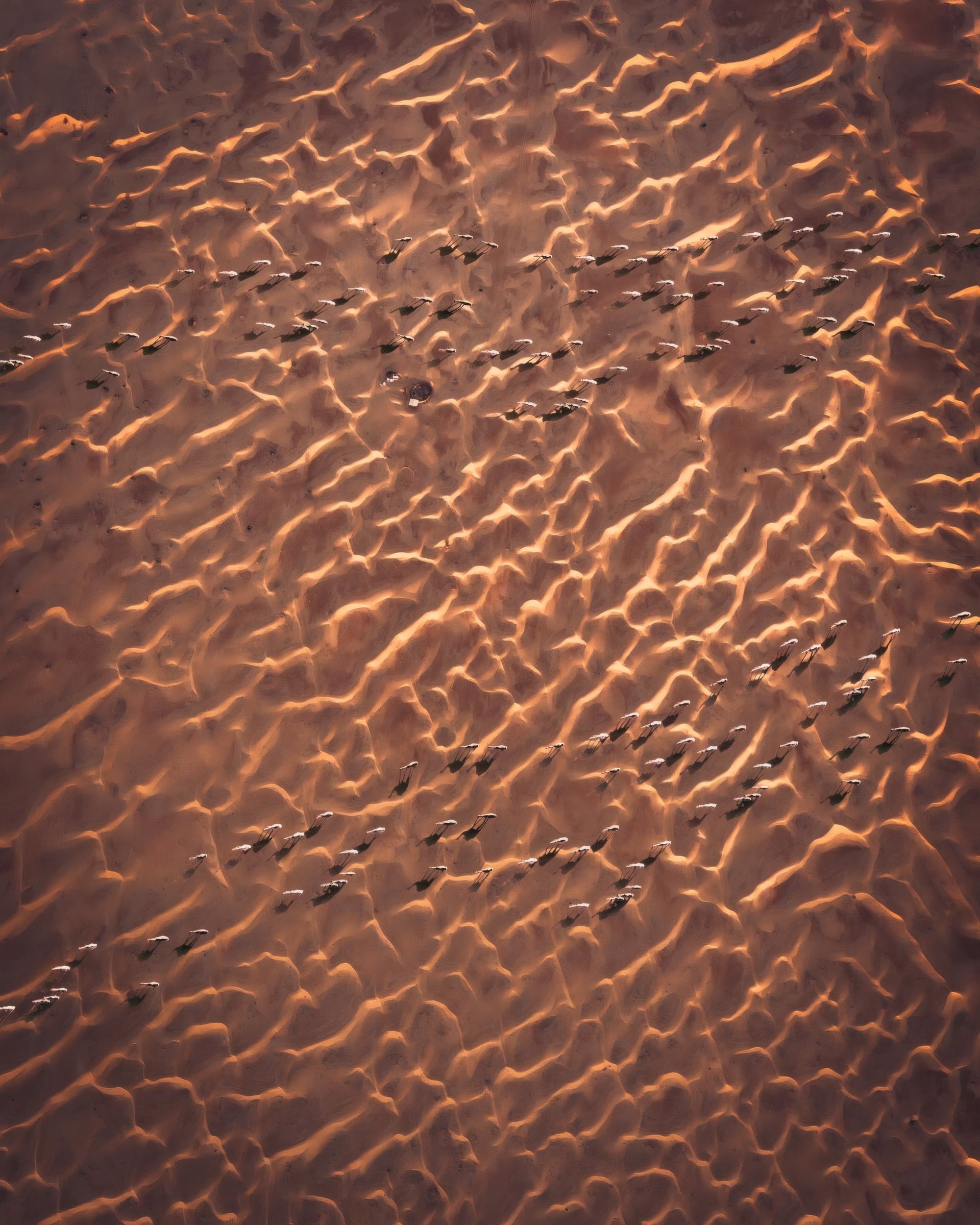Sunlit ripples across reddish desert sand.